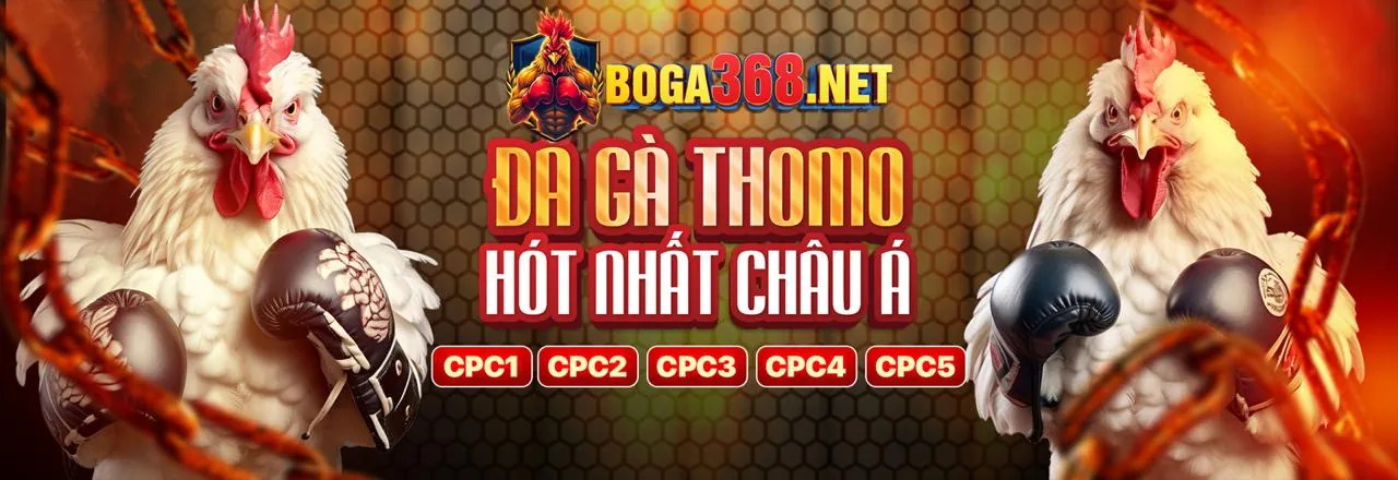 Đá Gà Trực Tuyến zb368 Link Mới Nhất 2026